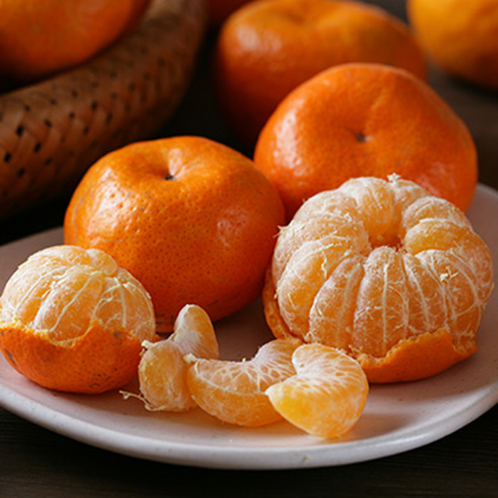 【台南關子嶺】小香橘