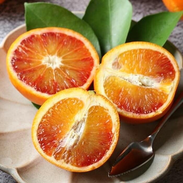 日本愛媛真穴血橙