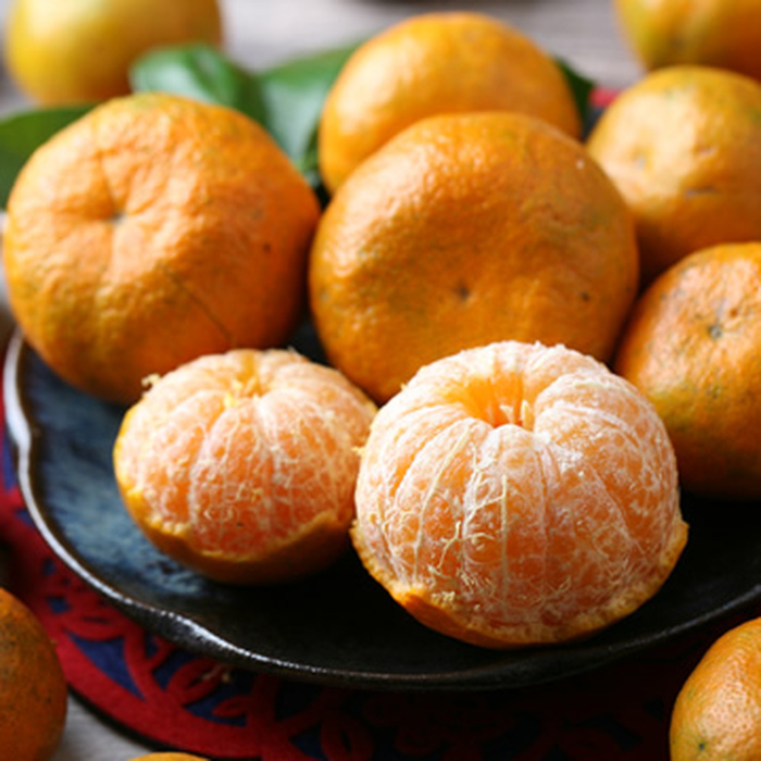 【台南關子嶺】甜心柑