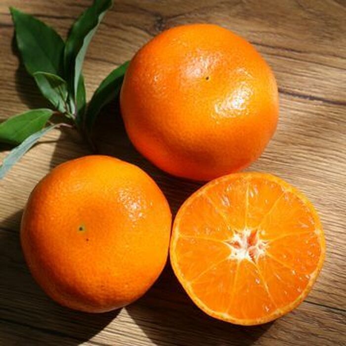 澳洲甜蜜柑