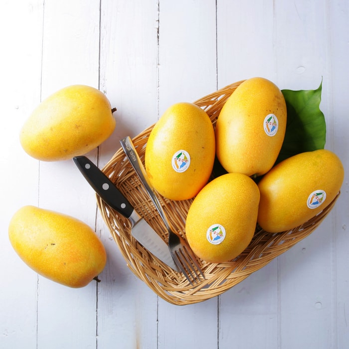 台東在欉熟特選 夏雪芒果8 15入 10斤 箱 Hug網路超市