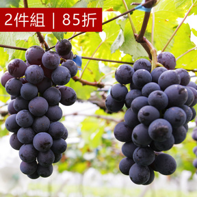 【二盒85折】信義豐丘黑葡萄3斤/盒