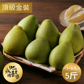 【預購】頂級金裝｜50年麻豆老欉文旦5斤/頂級7~9粒