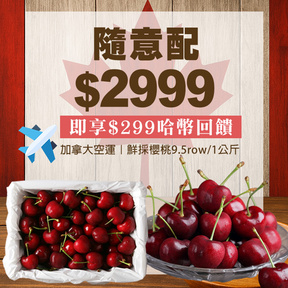 【加拿大空運】HUG隨意配（購買NT$2999，即得$299哈幣回饋）+贈空運加拿大櫻桃9.5row/1公斤