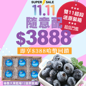 【雙11超殺】HUG隨意配（購買NT$3888，即得$388 哈幣回饋）+贈祕魯鮮採藍莓(125g/盒)/12盒裝