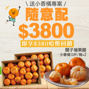 HUG隨意配（購買NT$3800，即得$380哈幣回饋）+贈【2箱】關子嶺小香橘10斤/箱