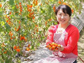 美濃橙蜜香小番茄