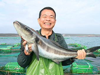 天和鮮物