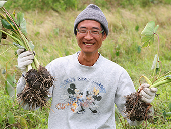 公館檳榔心芋頭角